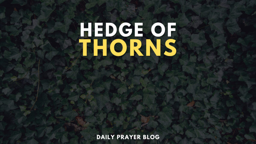 Unleashing the Power_ How the Hedge of Thorns Prayer Shields You from Adversity