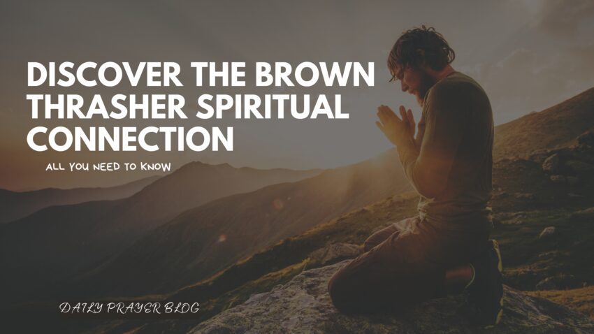 Brown Thrasher Spiritual