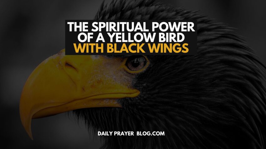 Spiritual Power of a Yellow Bird with Black Wings