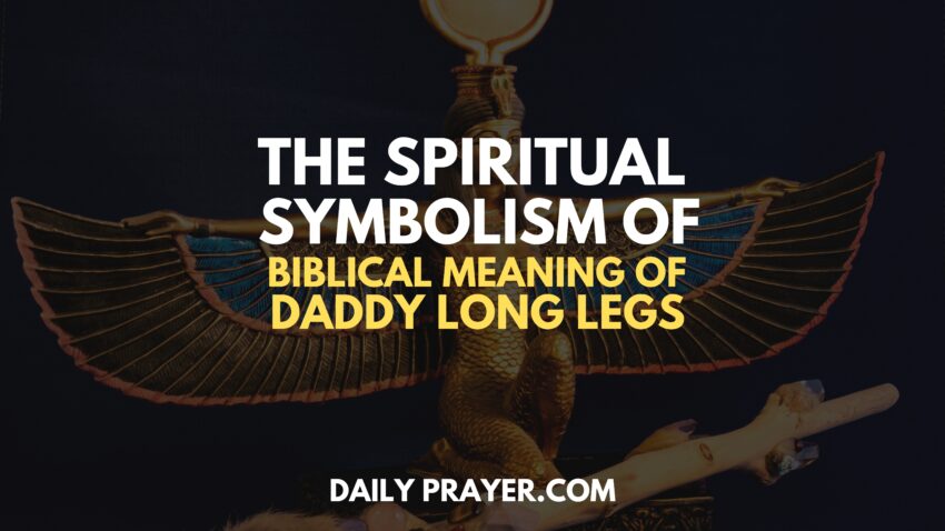 Spiritual Symbolism of Biblical Meaning of Daddy Long Legs