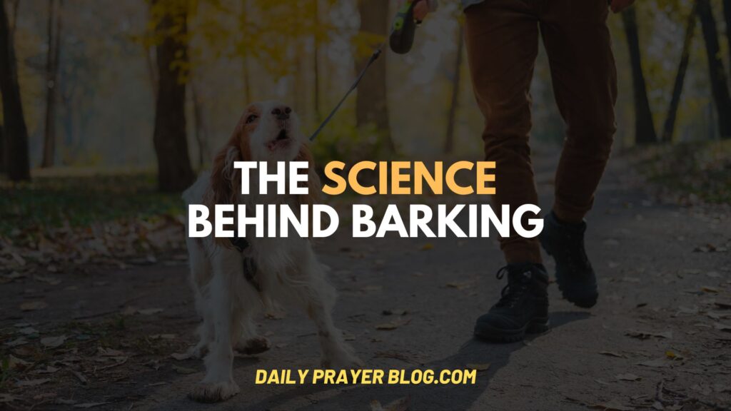 The Science Behind Barking a Dog