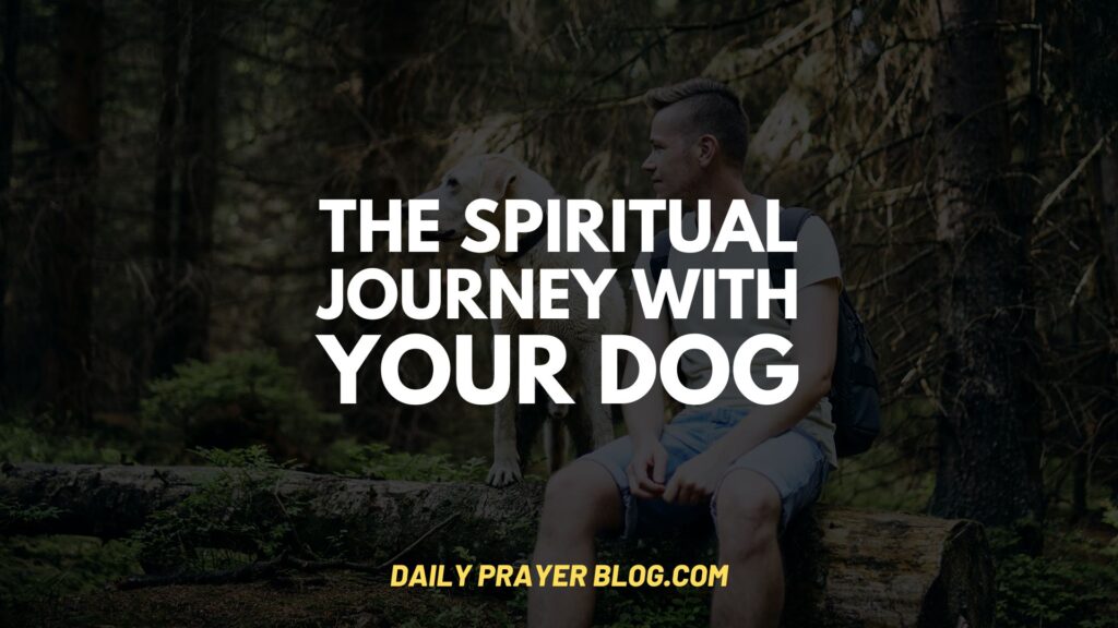 the spiritual journey with the dog