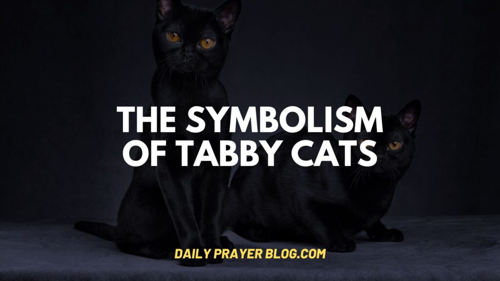 The Symbolism of Tabby Cats