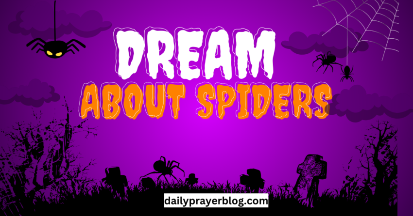 Dream About Spiders
