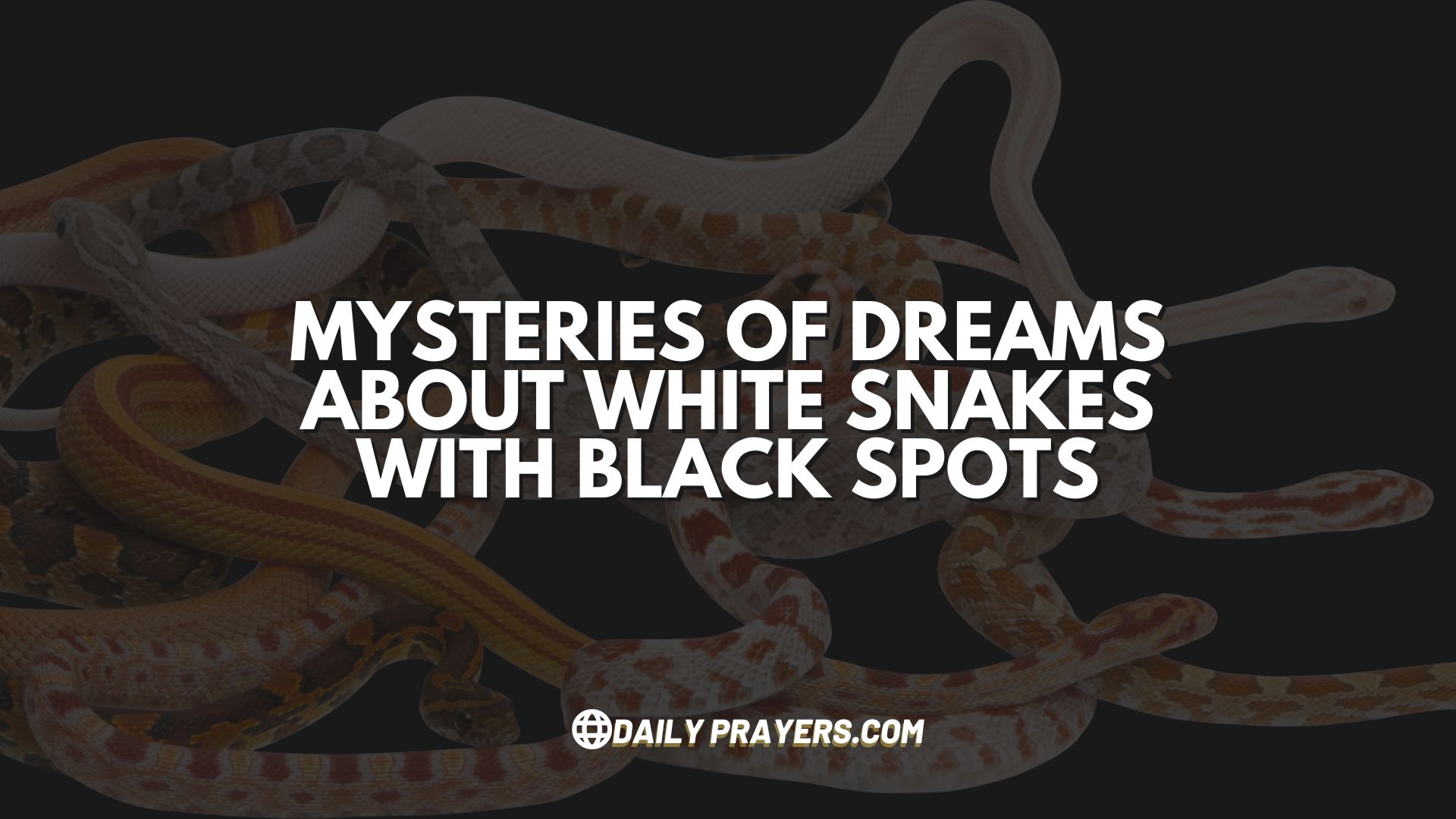 Mysteries of Dreams About White Snakes with Black Spots - DAILY PRAYER BLOG