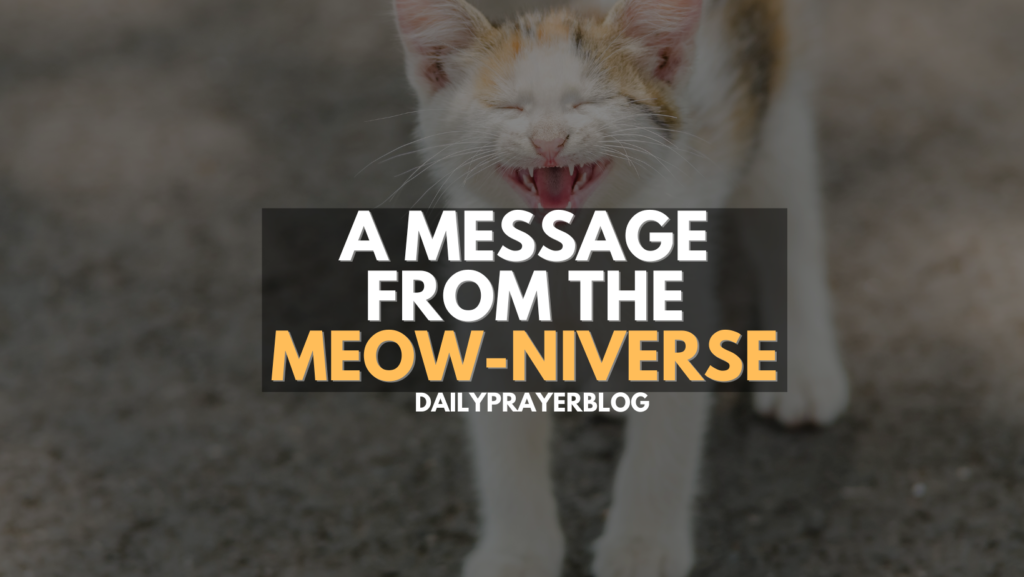 A Message from the Meow-niverse