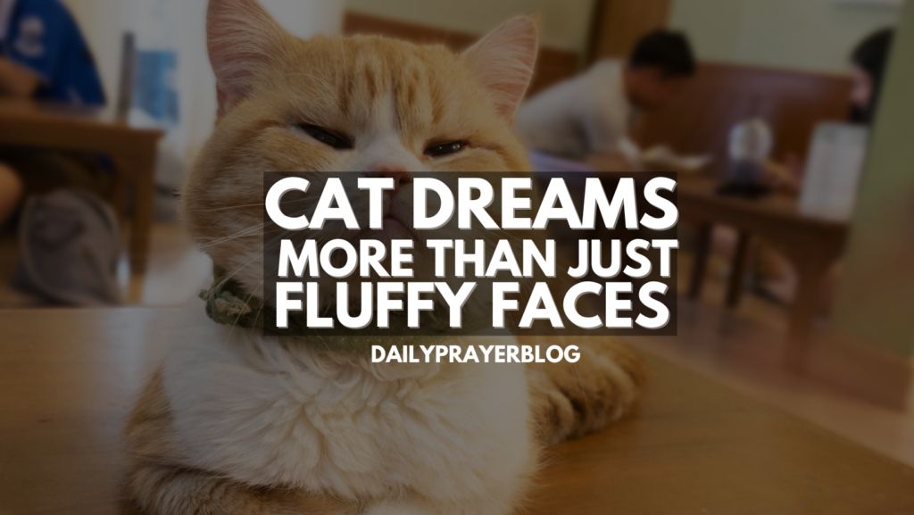 Cat Dreams: More Than Just Fluffy Faces