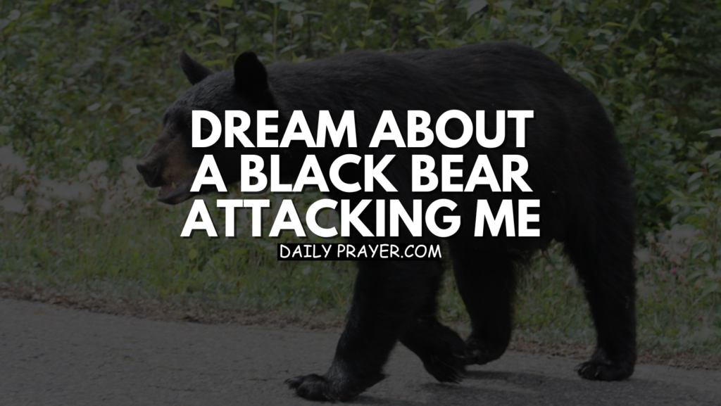 Dream About a Black Bear Attacking Me: