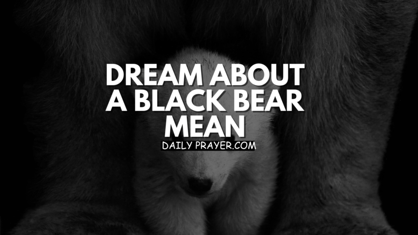 Dream About a Black Bear Mean