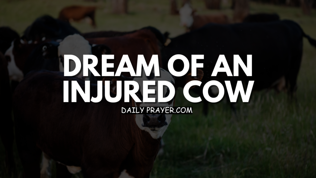 Dream of an Injured Cow: