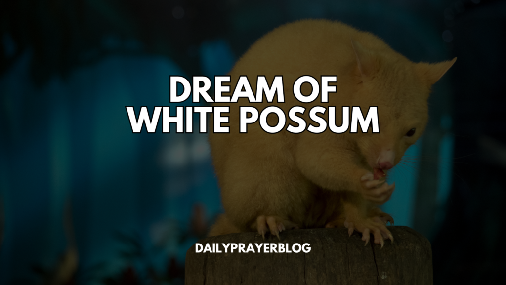 Dream of white possum