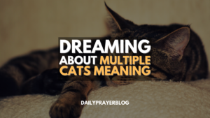 Dreaming About Multiple Cats Meaning