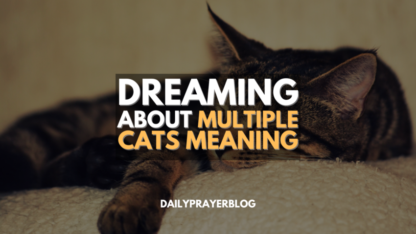 Dreaming About Multiple Cats Meaning