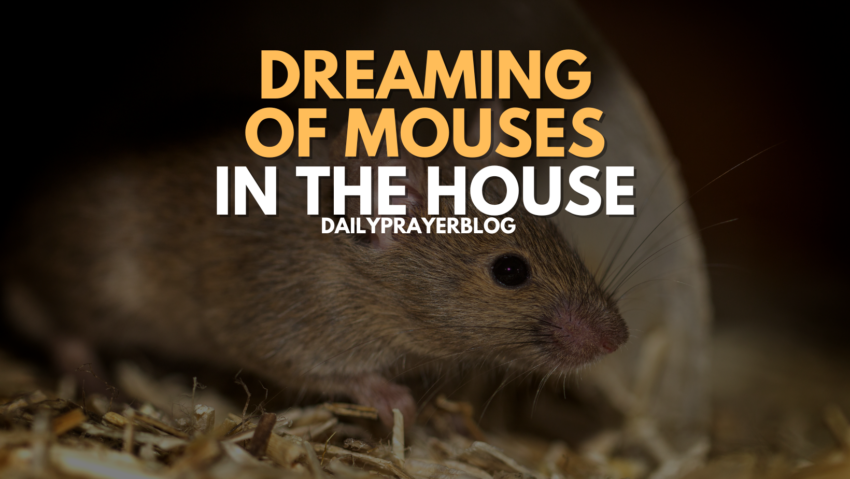 Dreaming Of Mouses In The House (1)