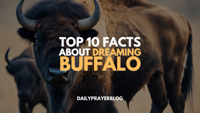Top 10 Facts About Dreaming Buffalo