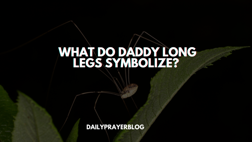  What Do Daddy Long Legs Symbolize?