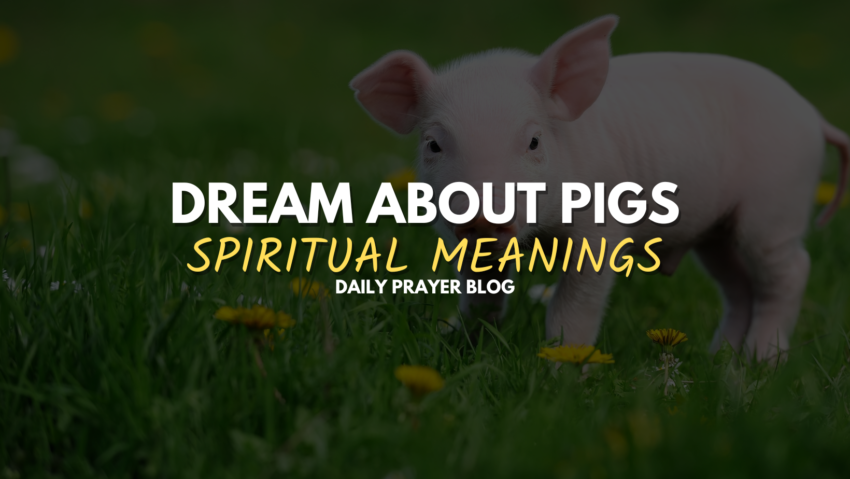 Dream About Pigs Spiritual Meanings (2)